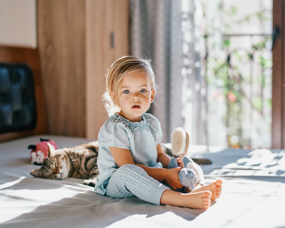 rocking bassinet for babies