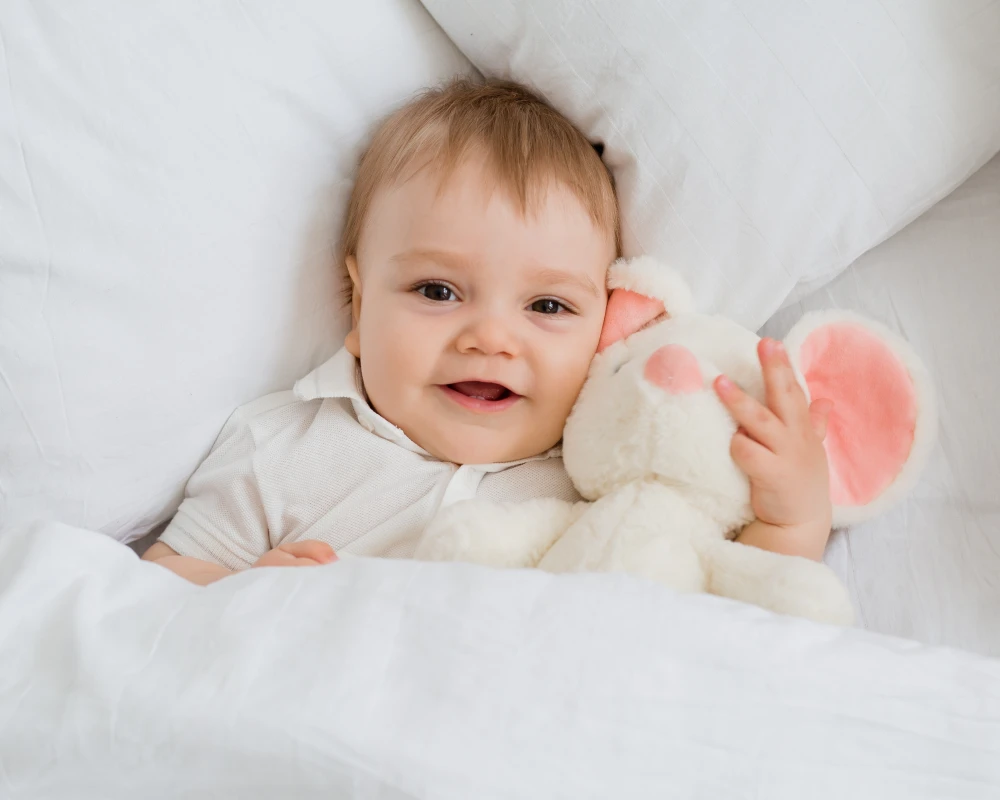 bassinet with rocking motion