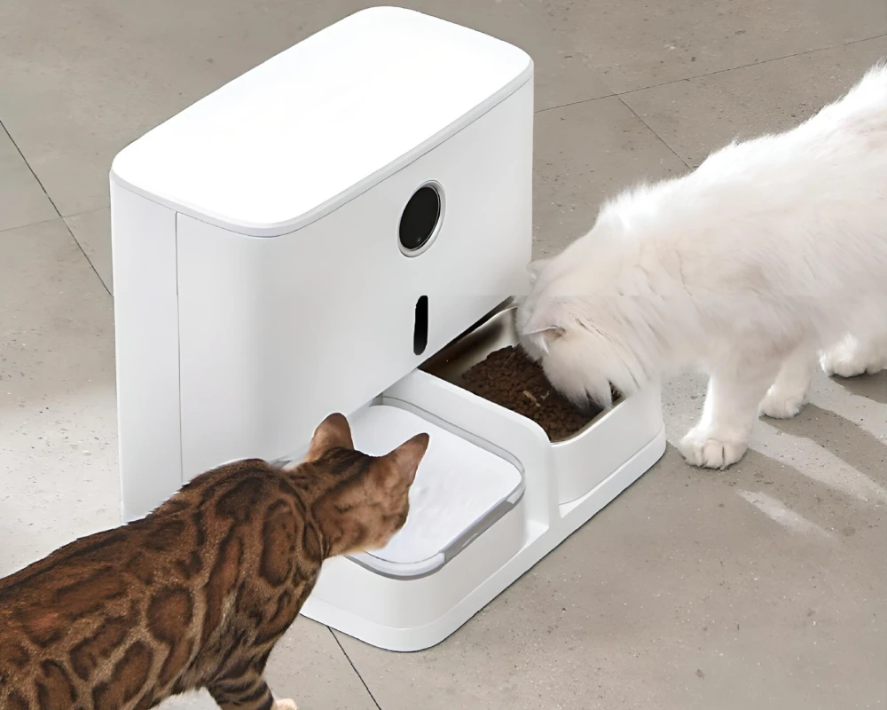 automatic pet feeder